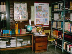 Proyecto solidario de biblioteca
