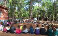 Campamento Montañero Colegio Vistabella (Tenerife)