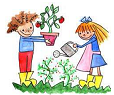 Ecología y Solidaridad