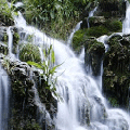 Yendo por agua a la fuente…