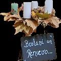 Adviento 24